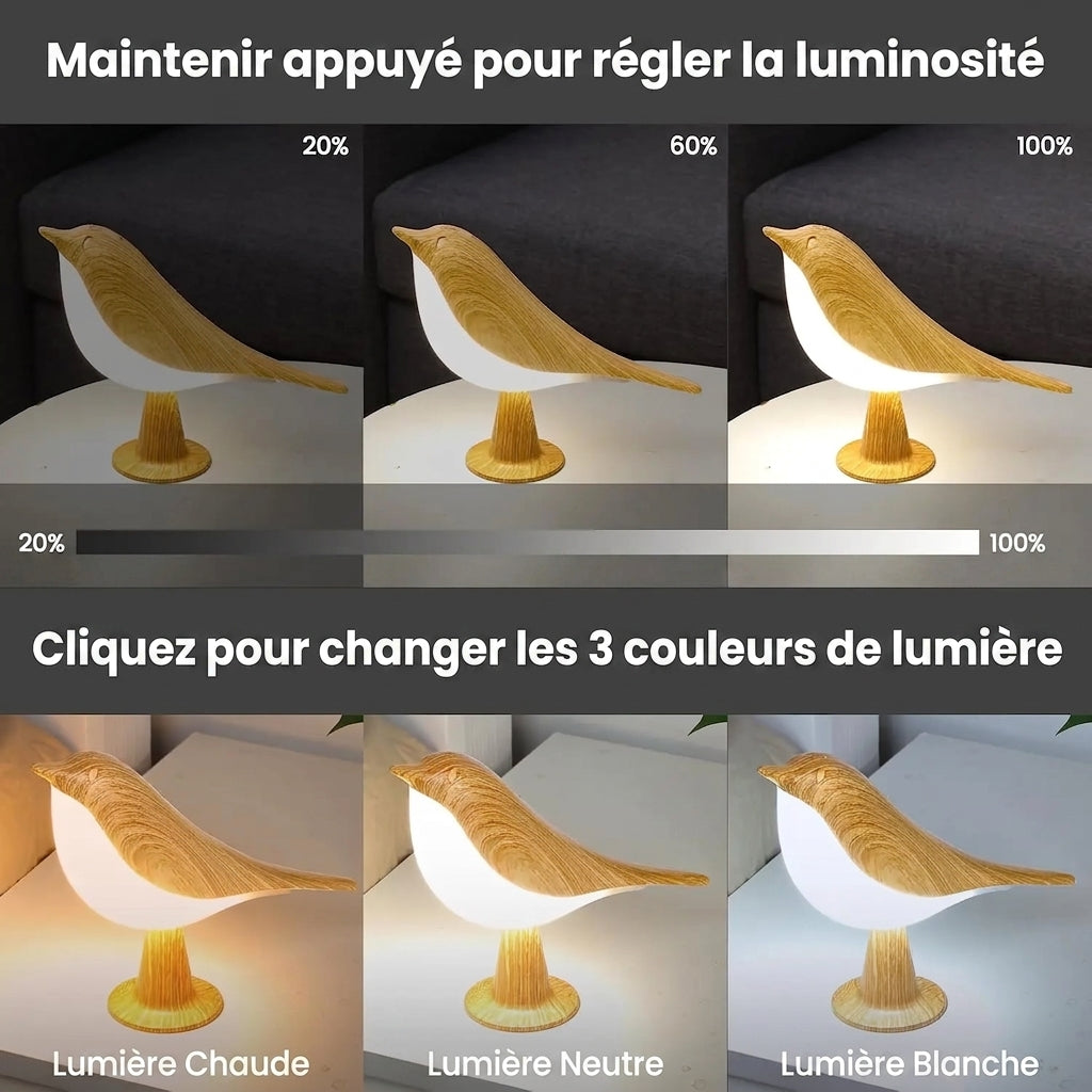 BirdTouch – Veilleuse oiseau LED